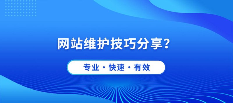 长沙网络公司的成功之道：从案例分析看企业转型